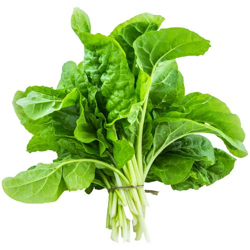 Acelga En Manojo - 1 Unidad
